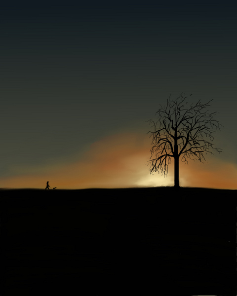 Image #2 of 12: 